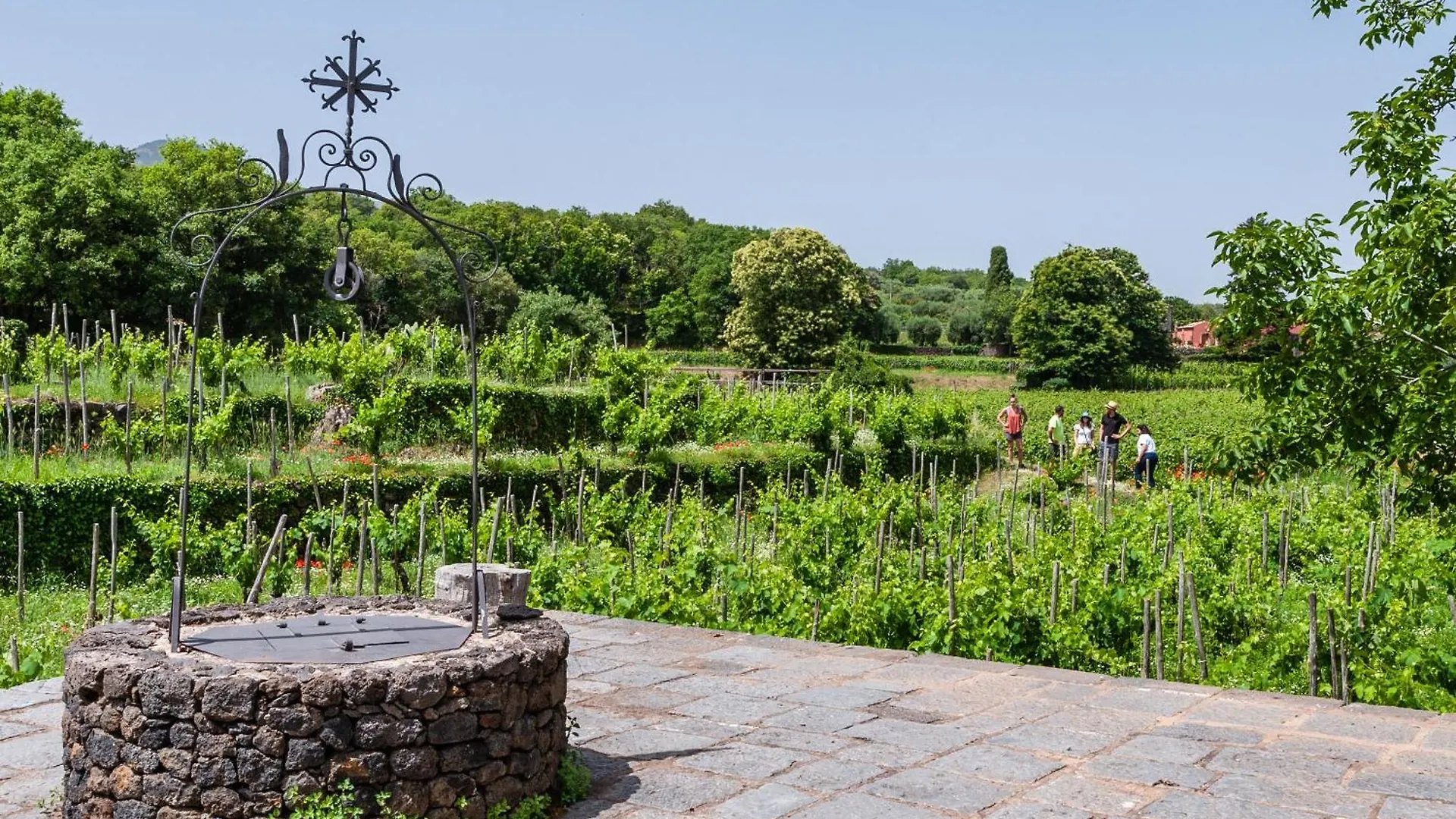 Terrazze Dell'Etna - Country Rooms And Apartments Randazzo